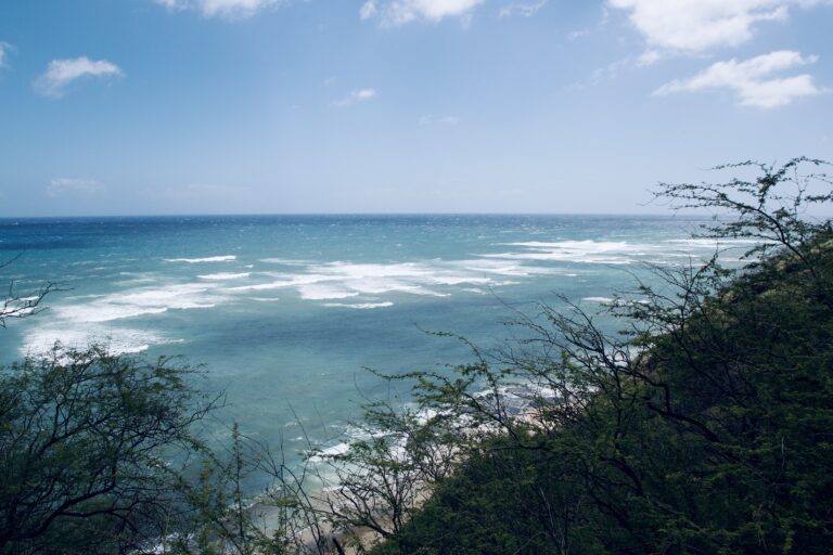 Diamond Head lineup