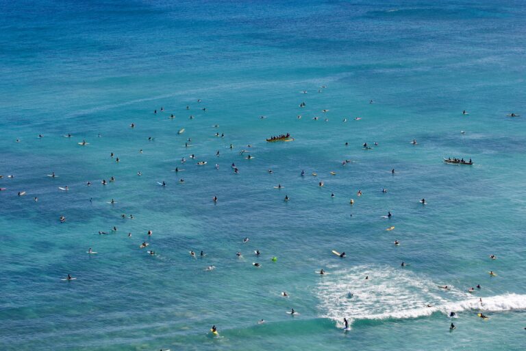Waikiki lineup